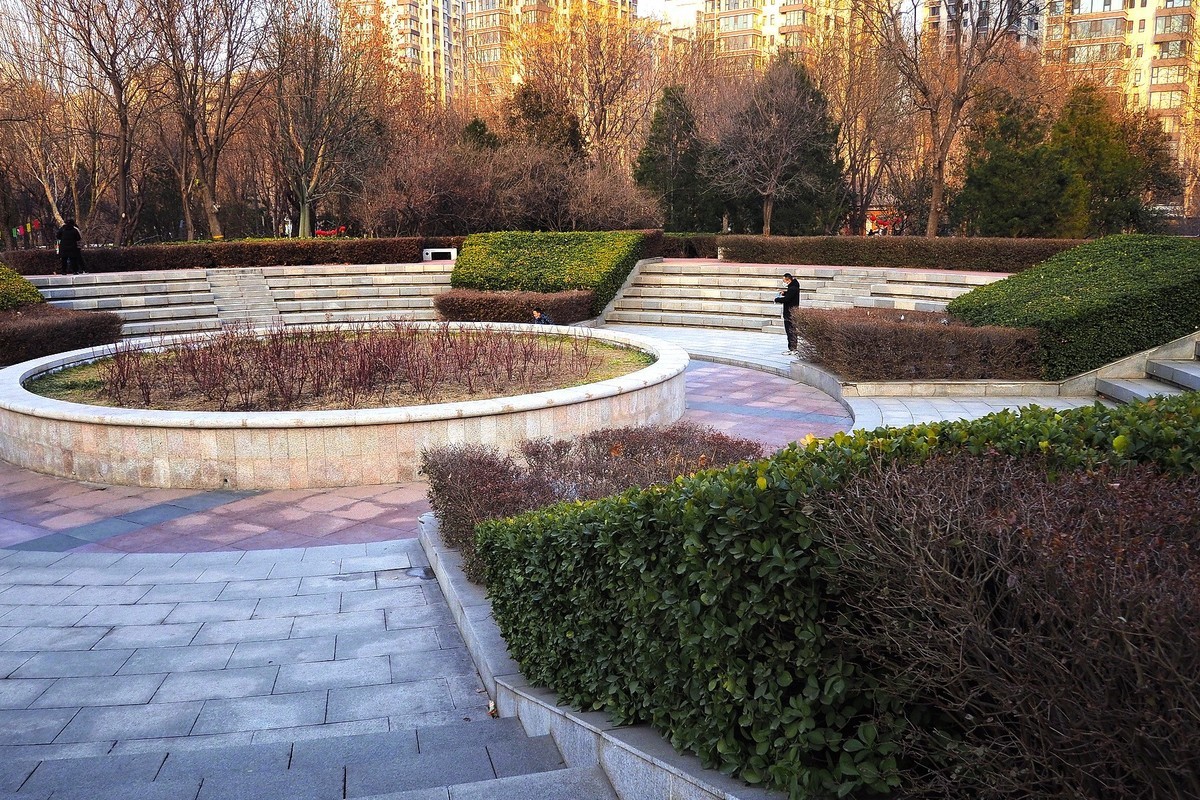 寒冬里的绿洲公园