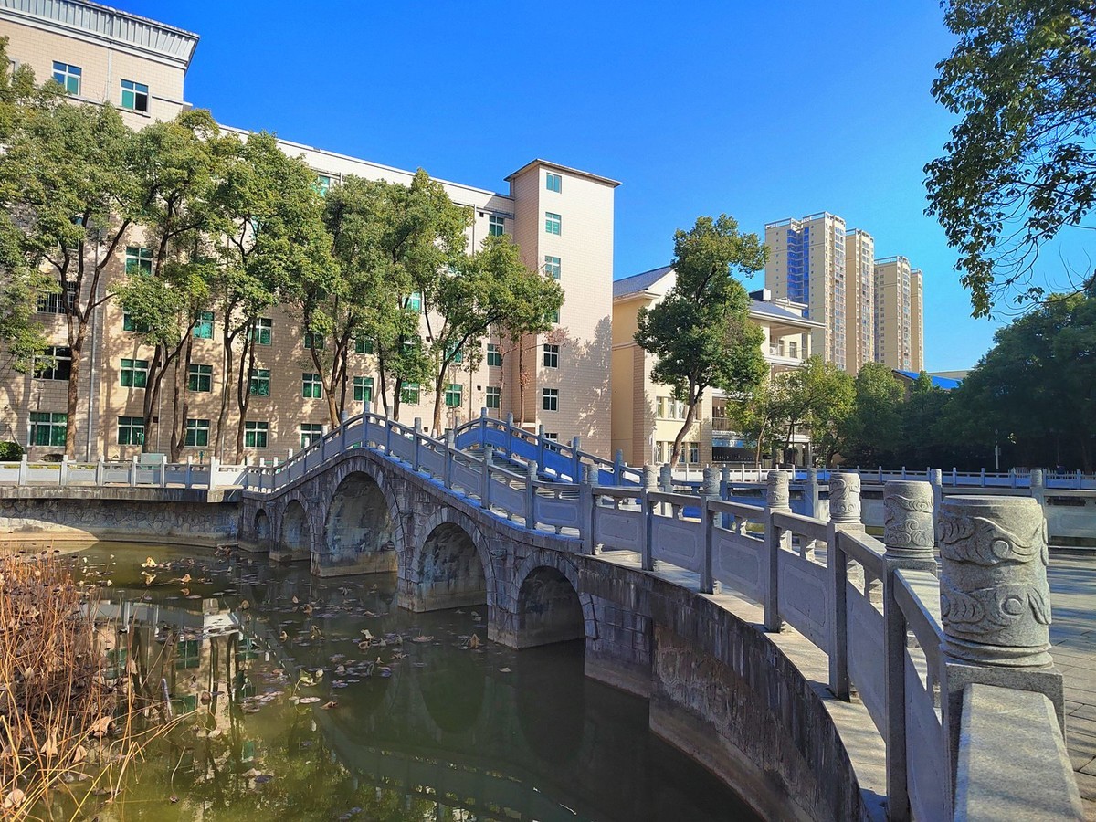 市委老大院风貌手机掠影