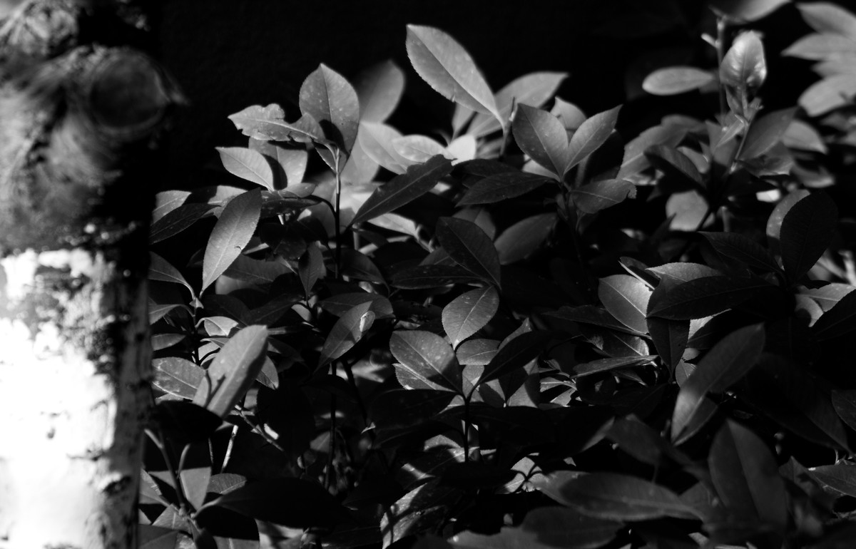 尘封的相机拿出来晒晒太阳