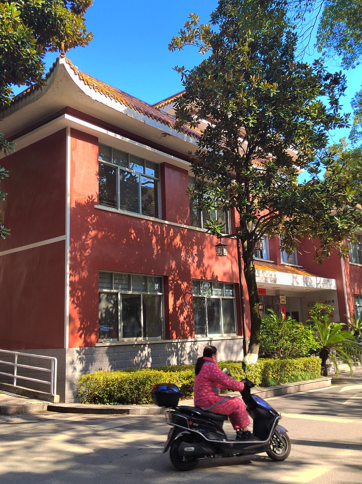 市委老大院风貌手机掠影