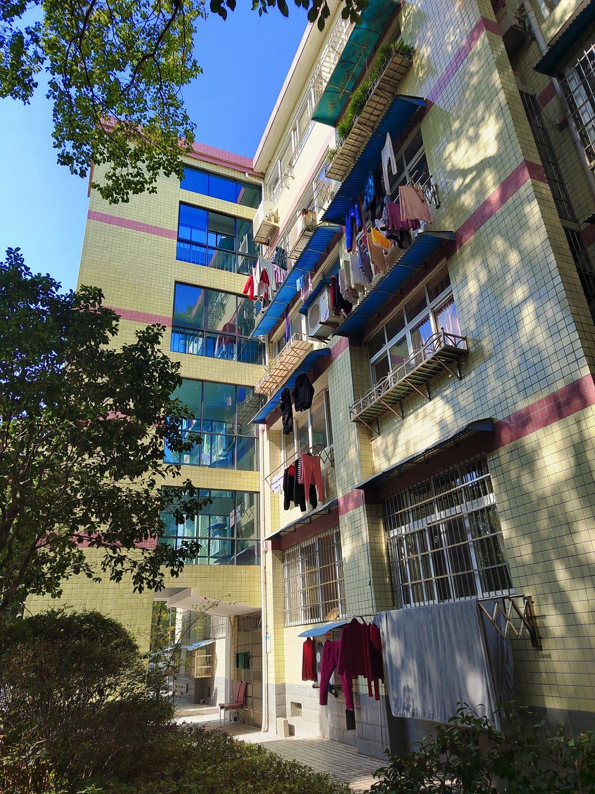 市委老大院风貌手机掠影