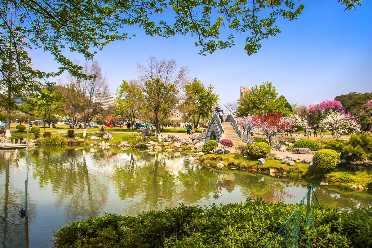 2023-08-05南京情侣园（三）