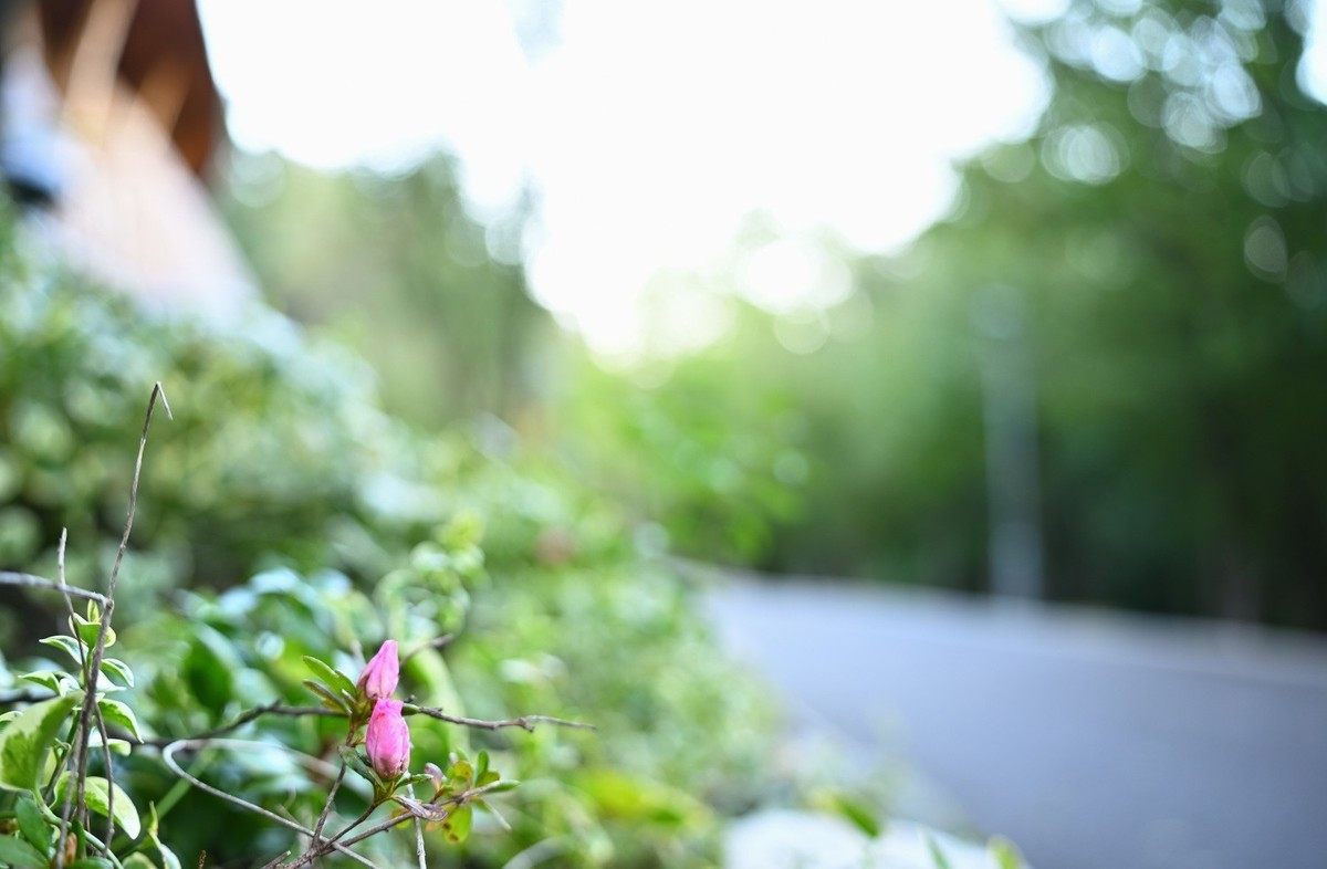 深秋夕阳伴我归续集