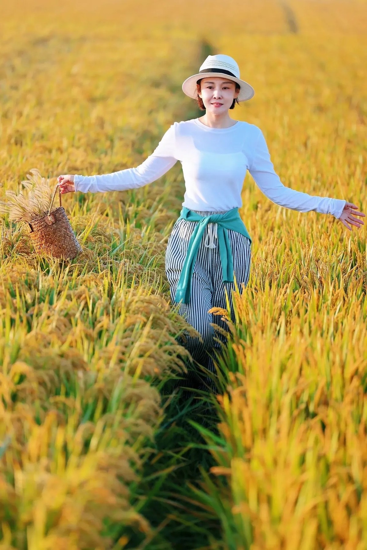 收获季节,谷粒如金