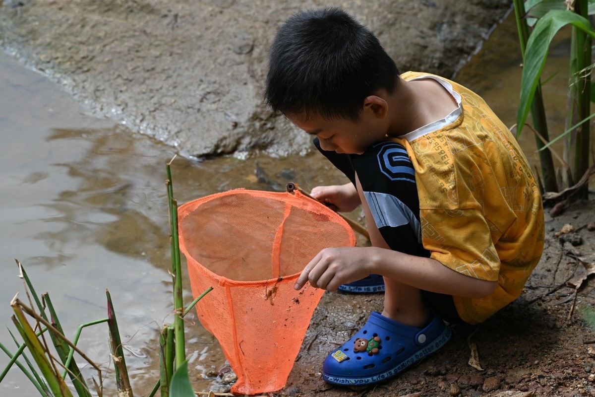 金山植物公园随拍