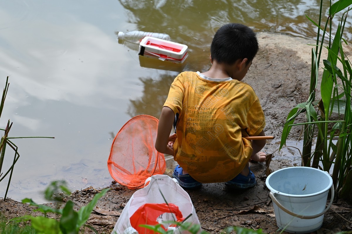 金山植物公园随拍