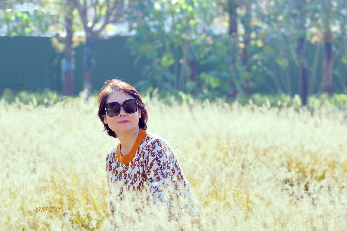 狗尾巴草地上—1