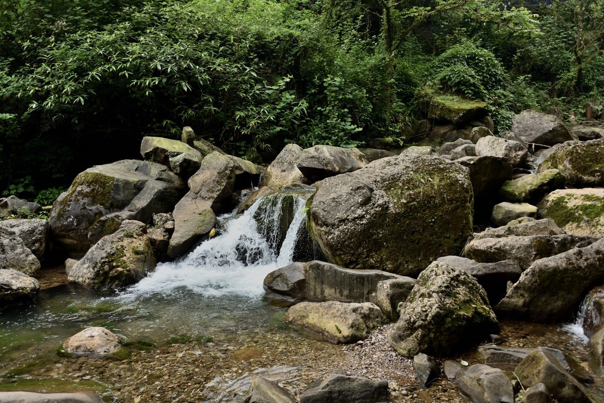 青城山泰安古镇【续完】
