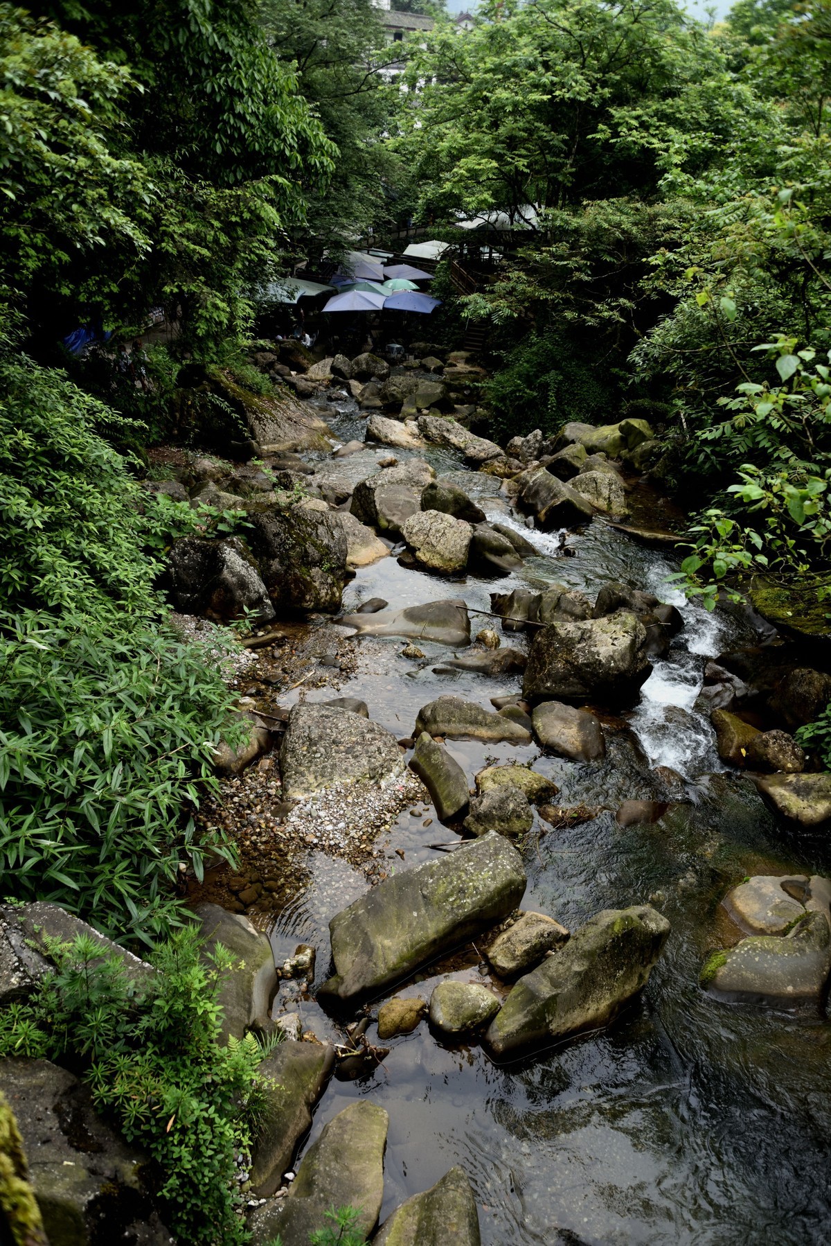 青城山泰安古镇【续完】
