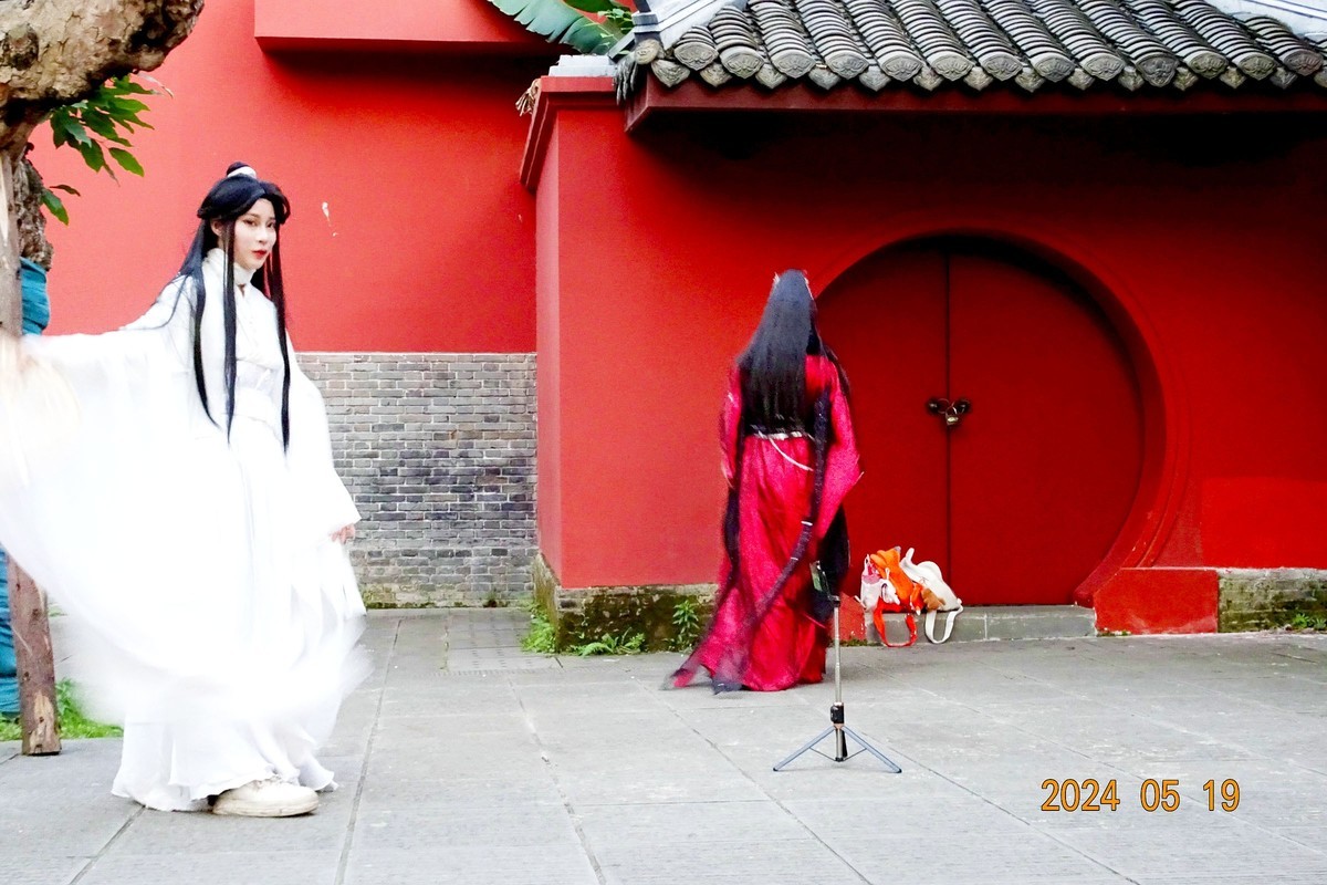 “白素贞”红墙打卡