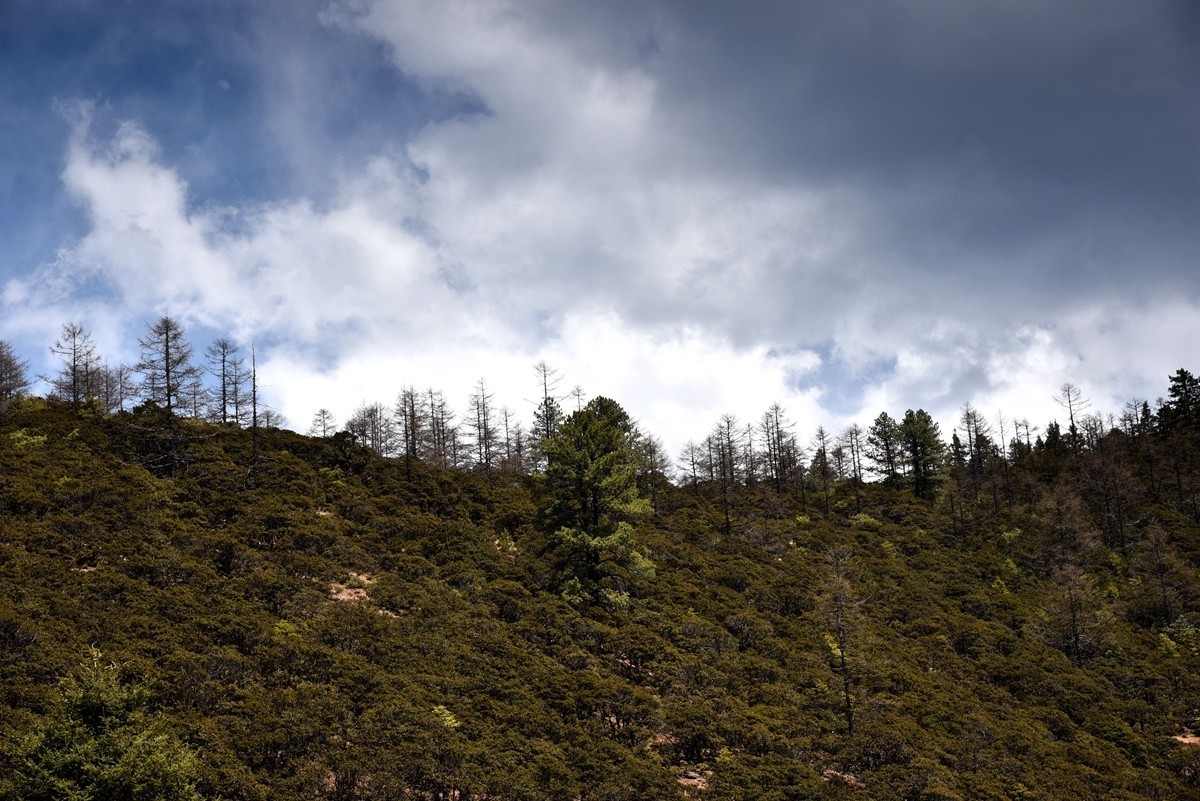 普达措国家公园【1】