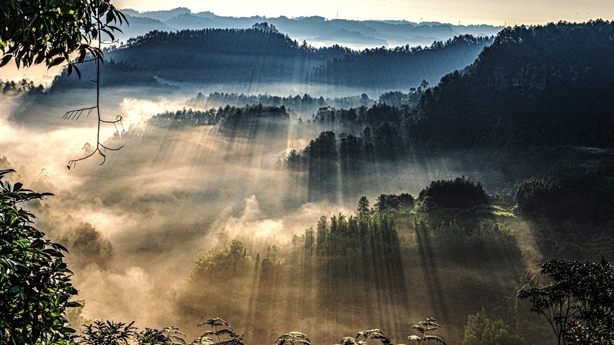 四川威远骑龙坳---晨雾【5】
