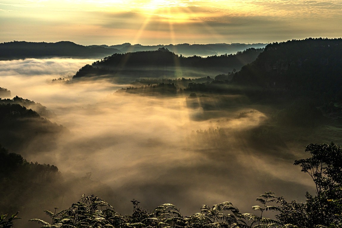 四川威远骑龙坳---晨雾【5】