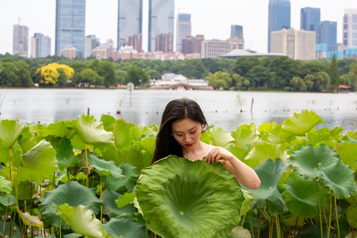荷花池旁抓拍 5