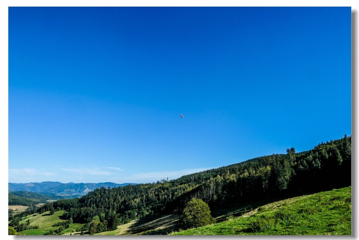 骑游“黑森林”（南德）