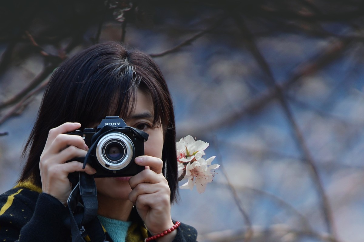 挑之夭夭，灼灼其华