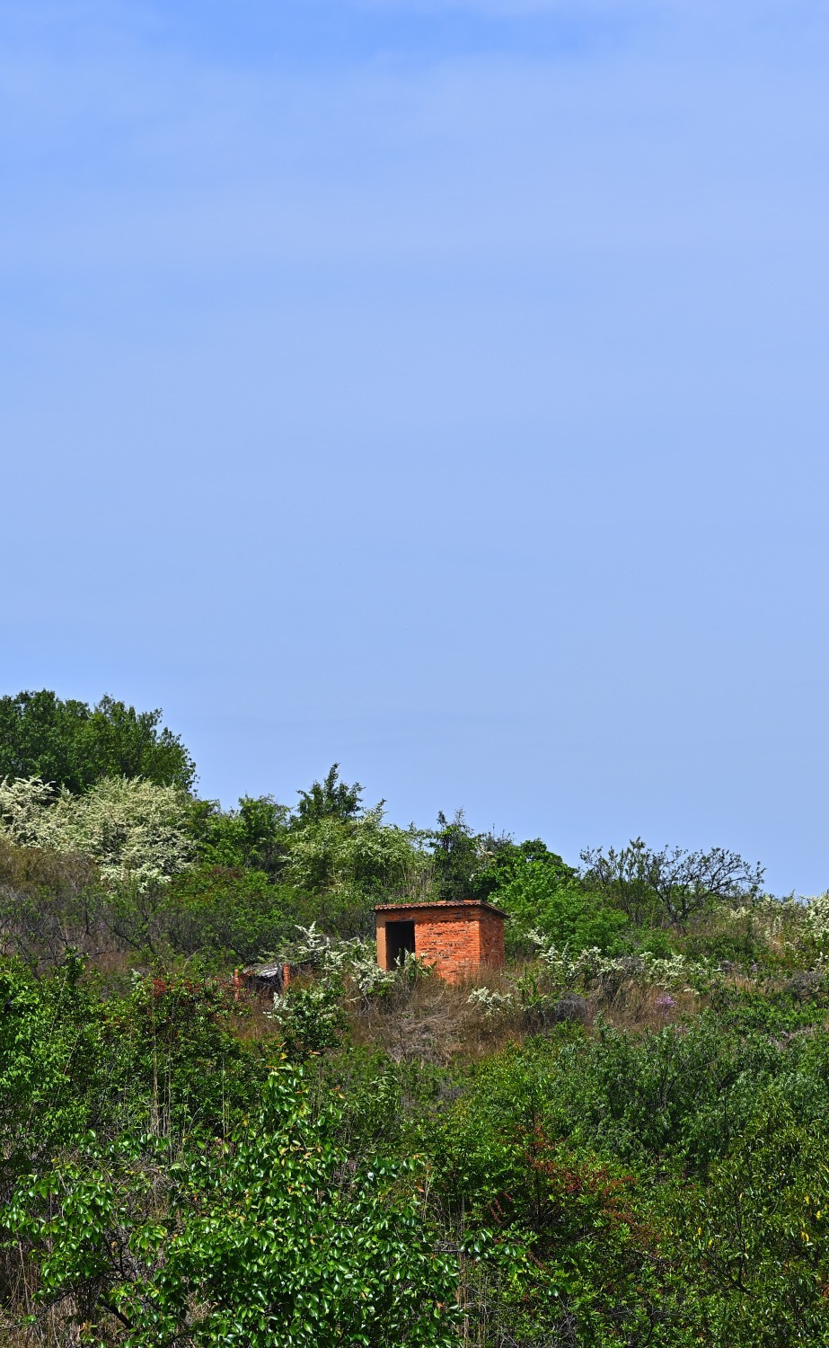 2025初春步行随拍 （贰拾陆）