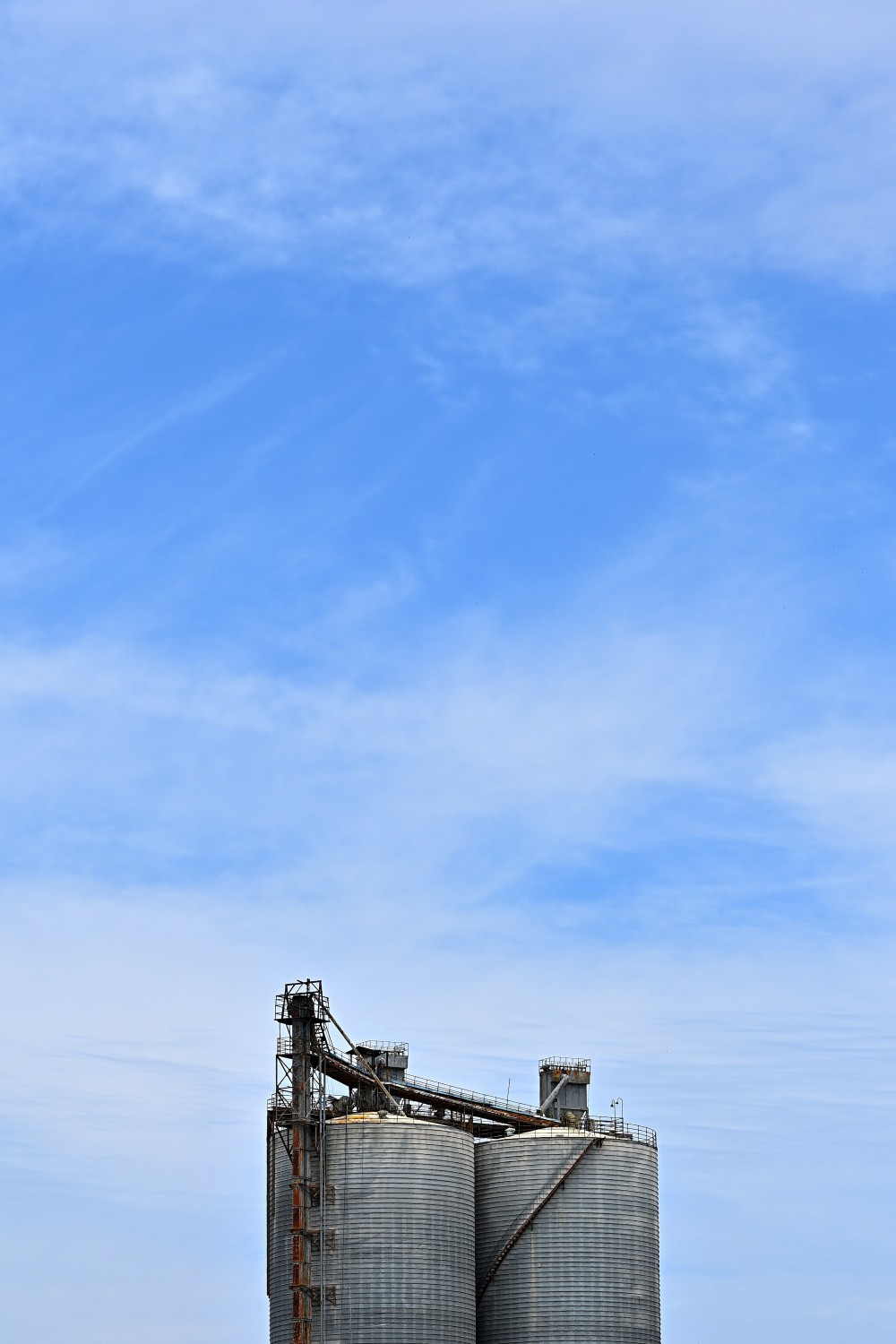 2025初春步行随拍 （贰拾陆）