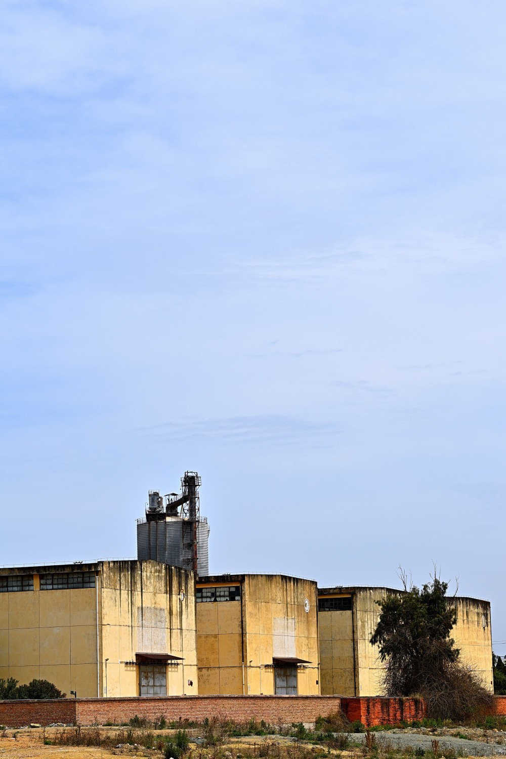 2025初春步行随拍 （贰拾陆）