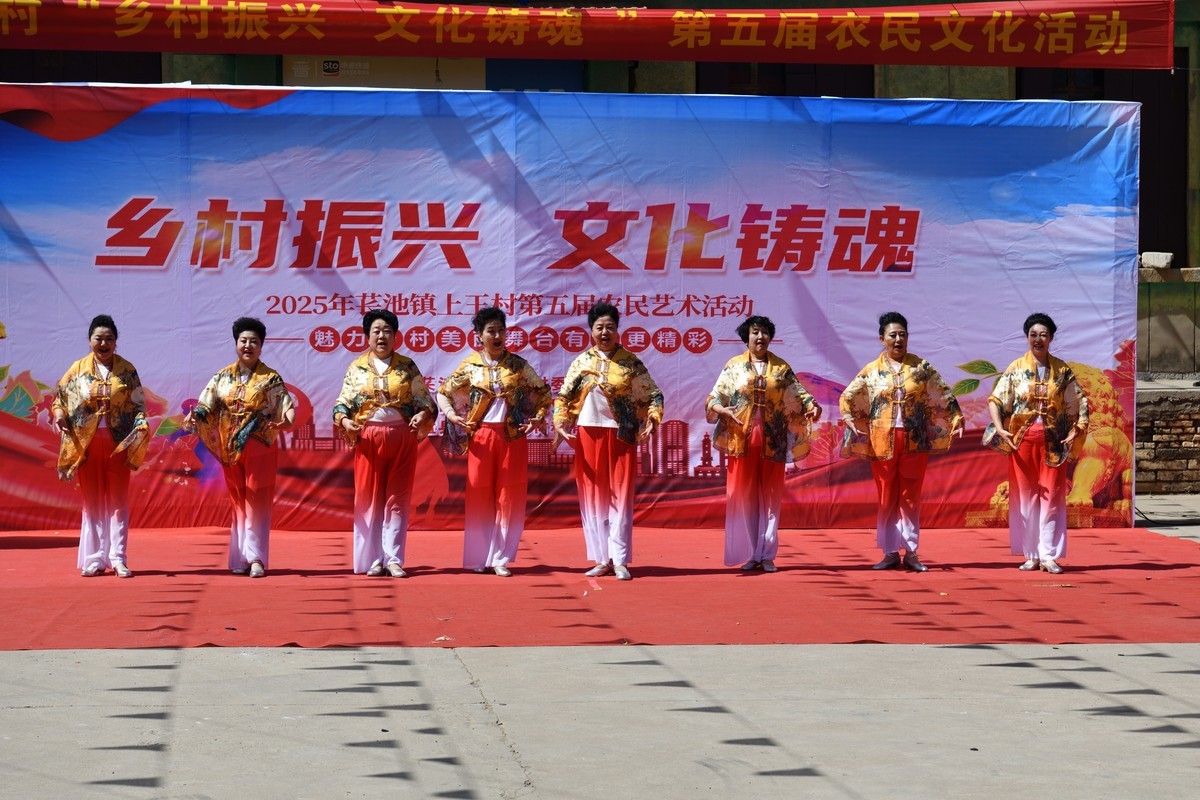 乡村振兴，文化铸魂--2025长池镇上王村第五届农民艺术活动（10）