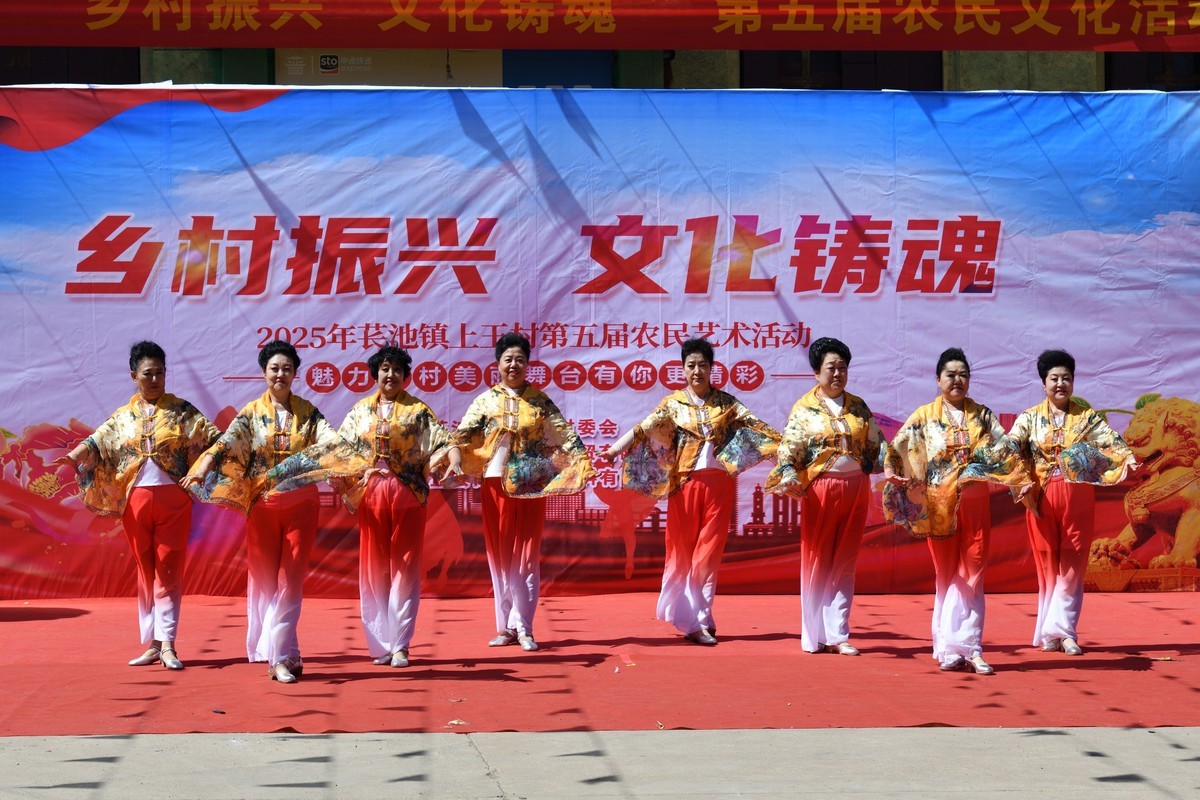 乡村振兴，文化铸魂--2025长池镇上王村第五届农民艺术活动（10）