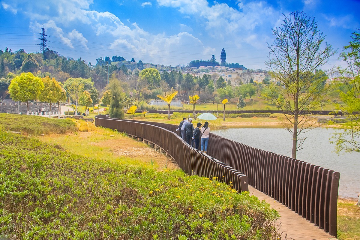 2025-06-05云南玉溪瀑布公园（一）