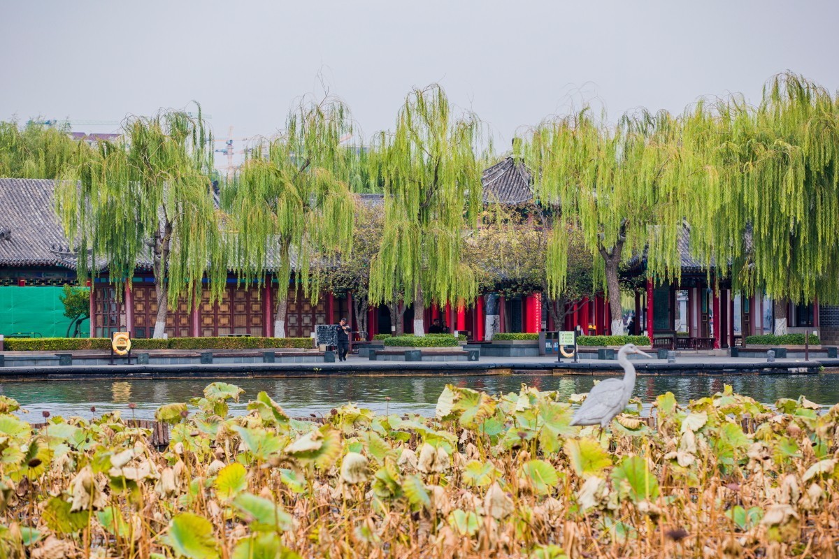 外出随拍（402）.