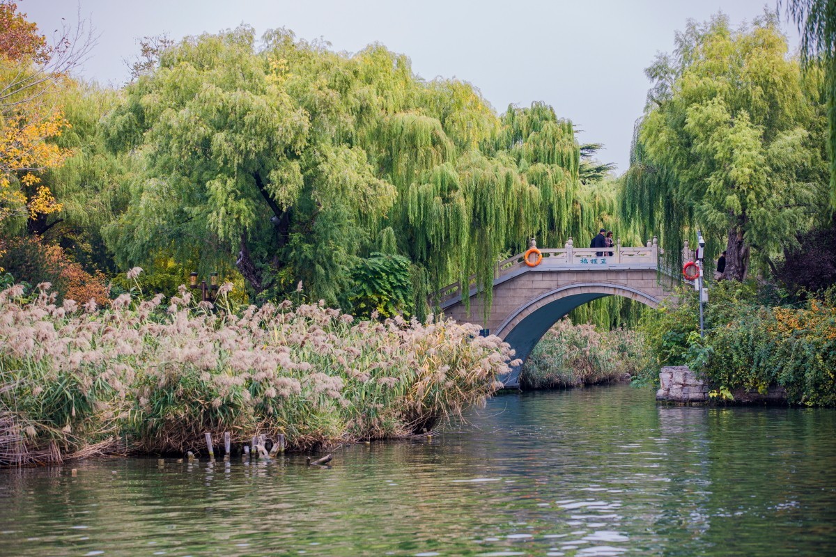 外出随拍（402）.