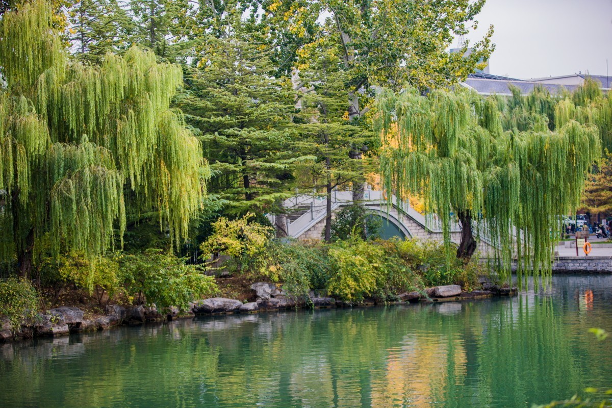 外出随拍（402）.