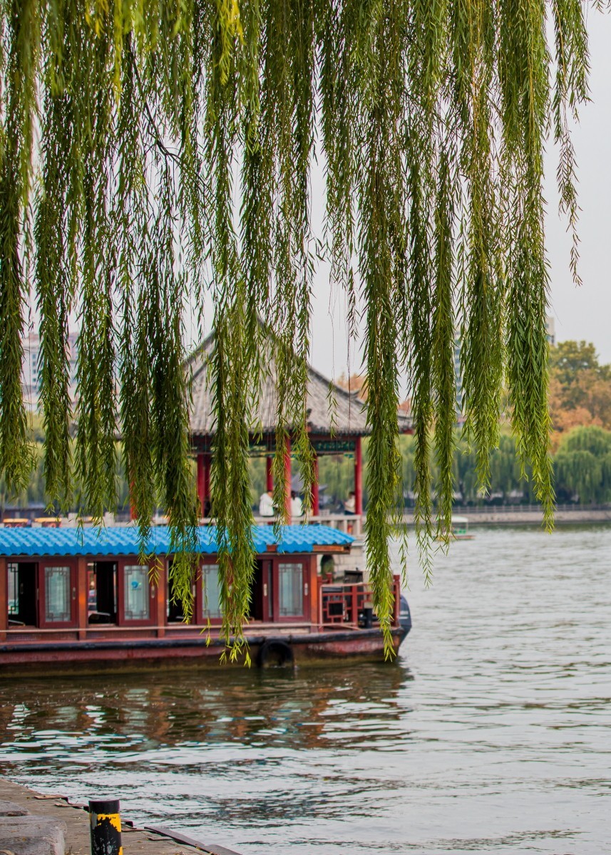 外出随拍（402）.