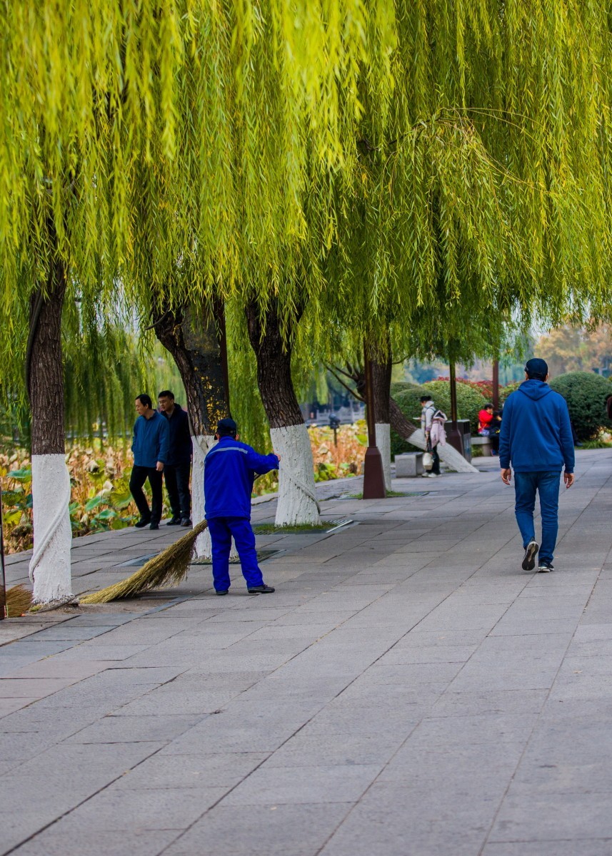 外出随拍（402）.