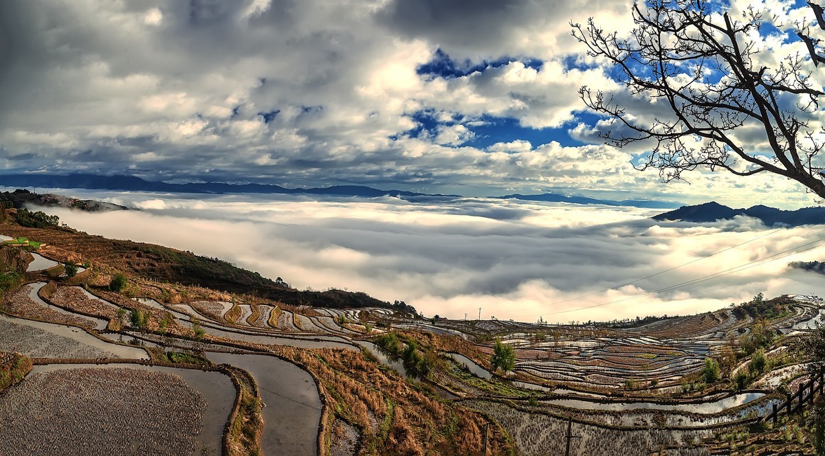 元江梯田风景名胜区图片