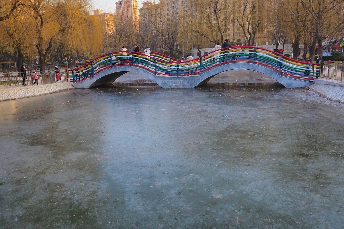 寒冬里的绿洲公园