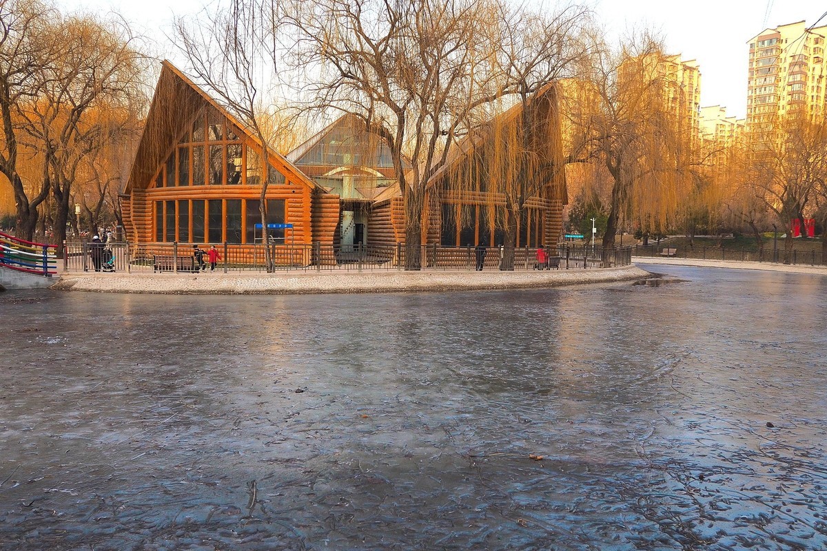 寒冬里的绿洲公园