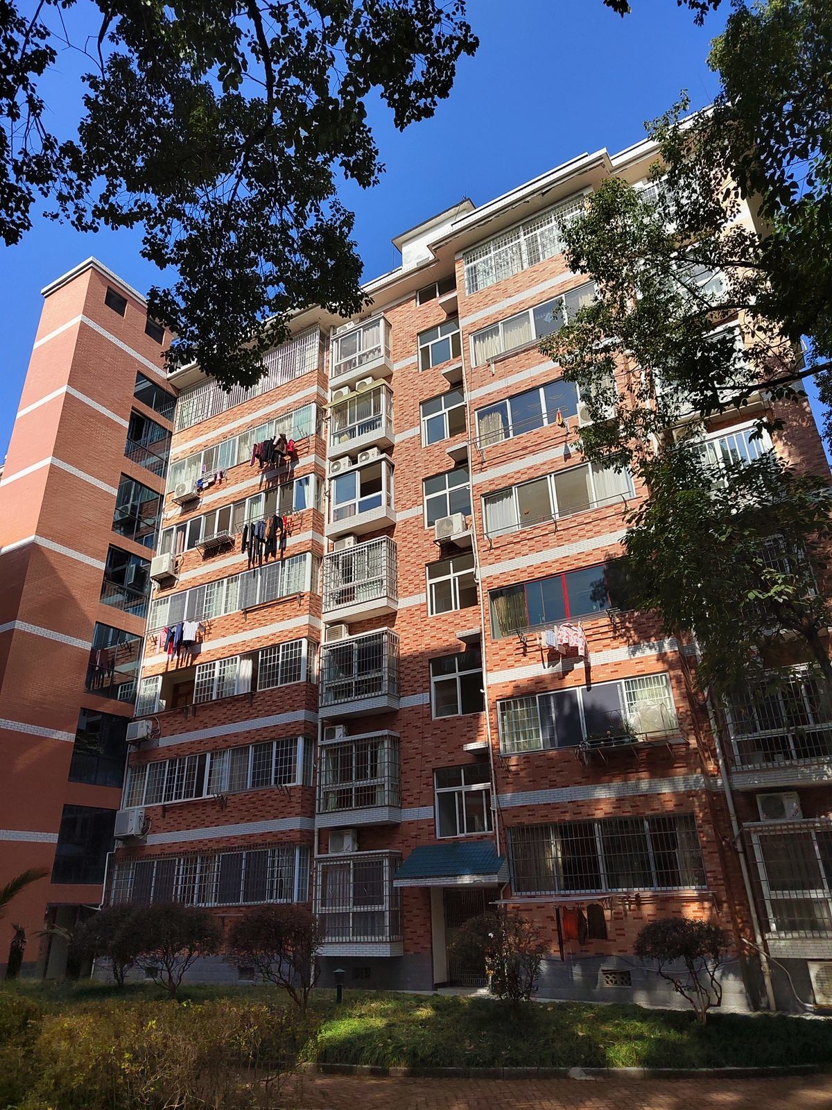 市委老大院风貌手机掠影