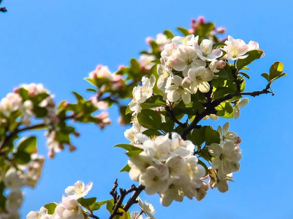 2023-08-05南京情侣园（三）