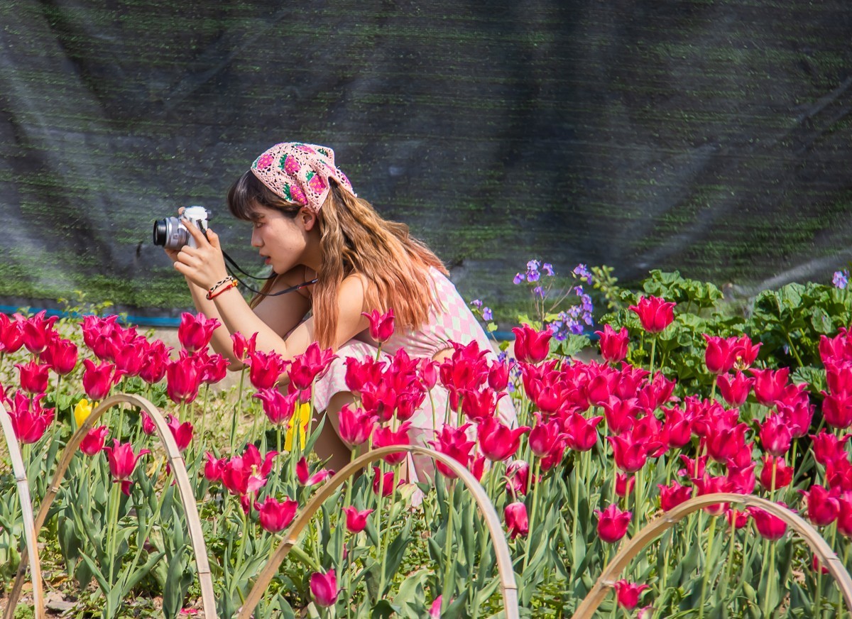 2023-08-05南京情侣园（三）