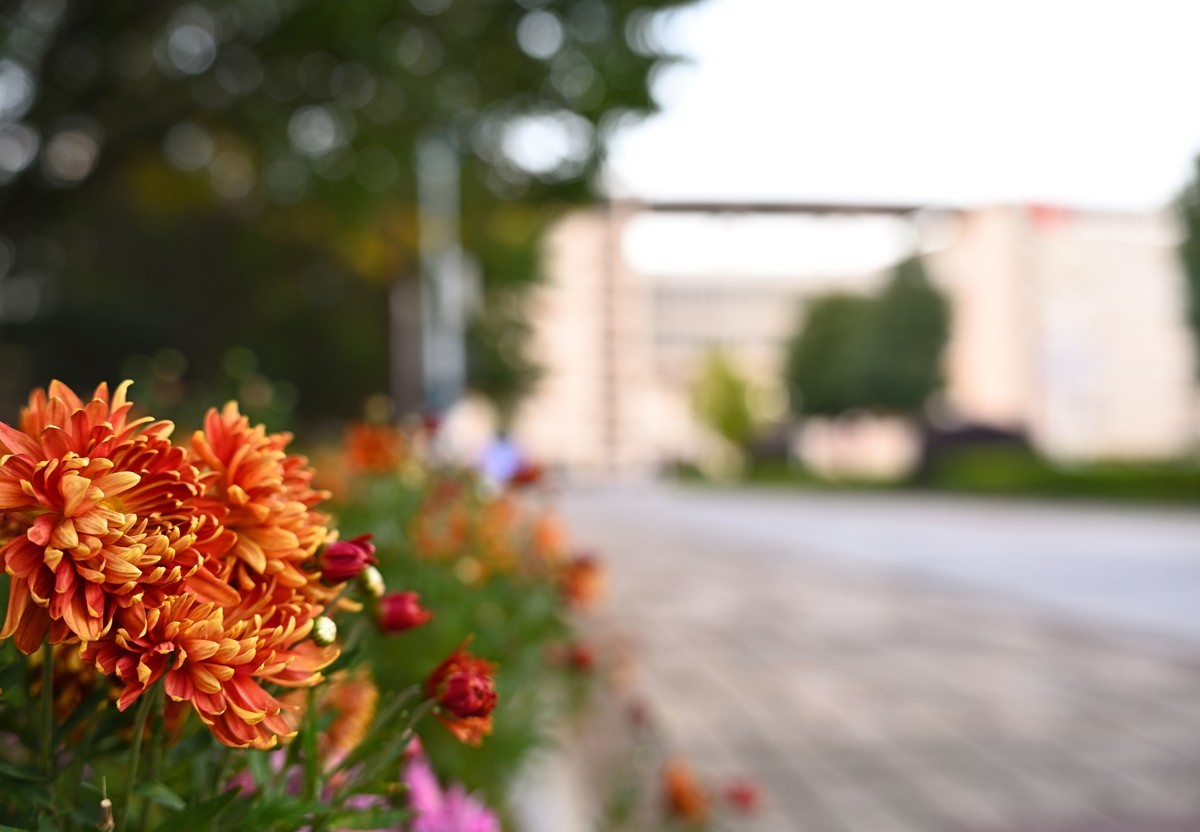 深秋夕阳伴我归续集