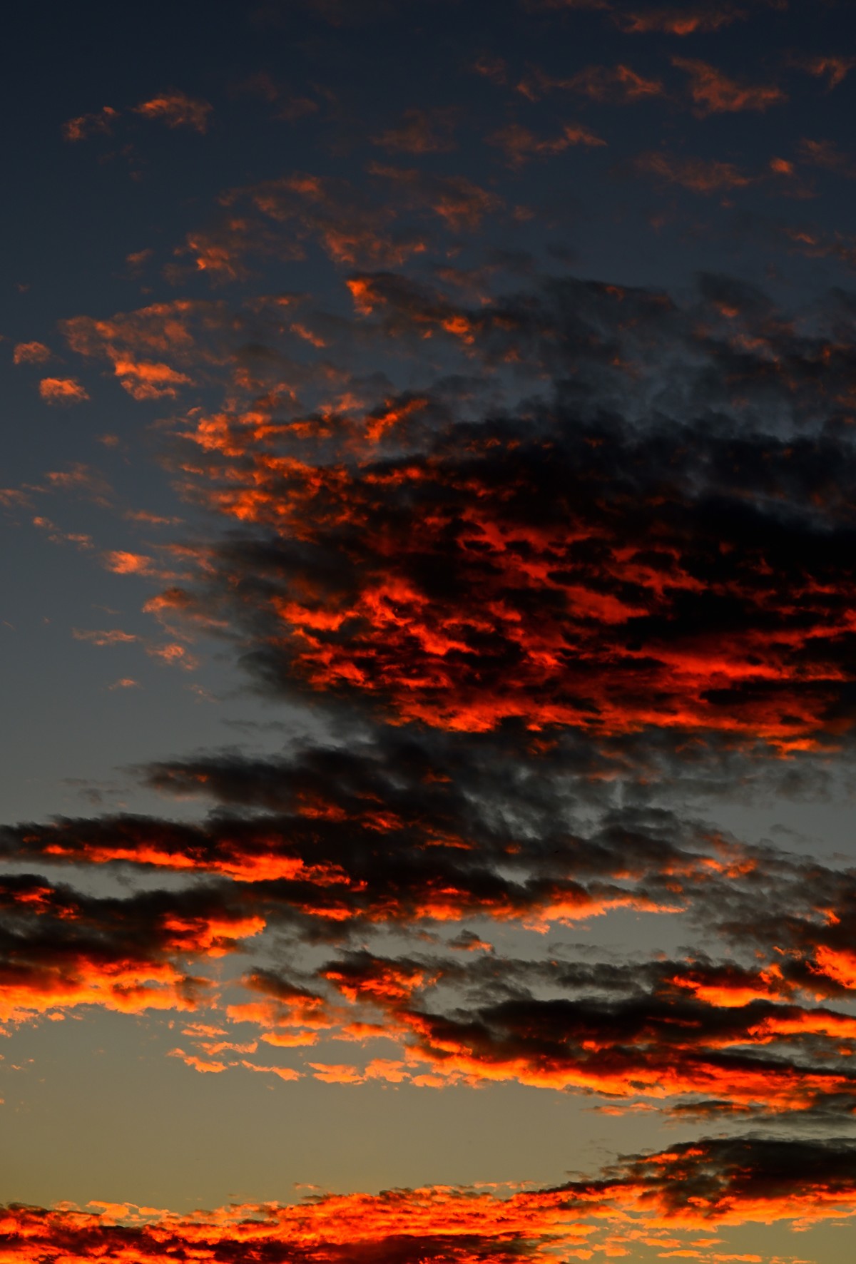 深秋夕阳伴我归续集