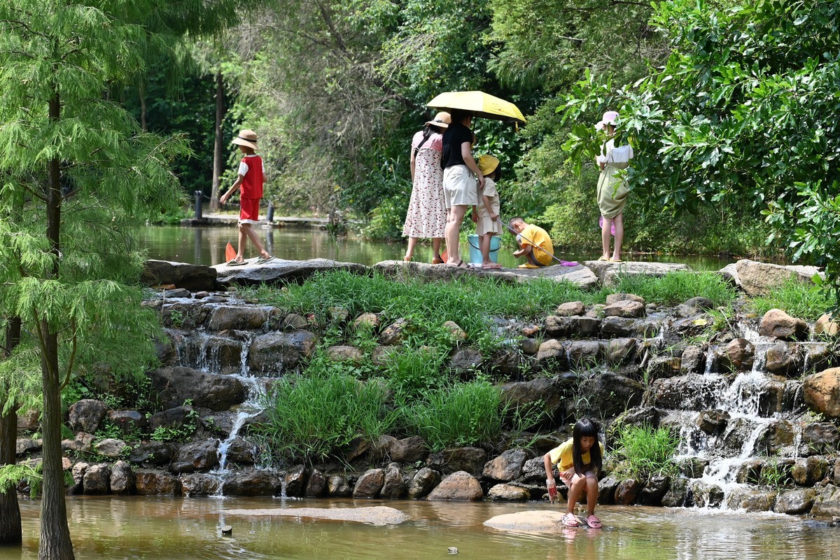 金山植物公园随拍