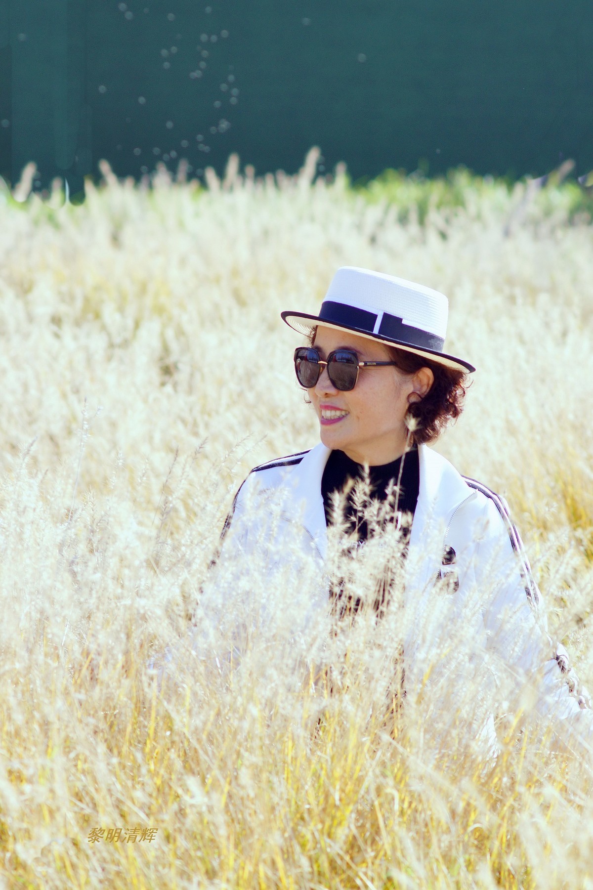 狗尾巴草地上—1