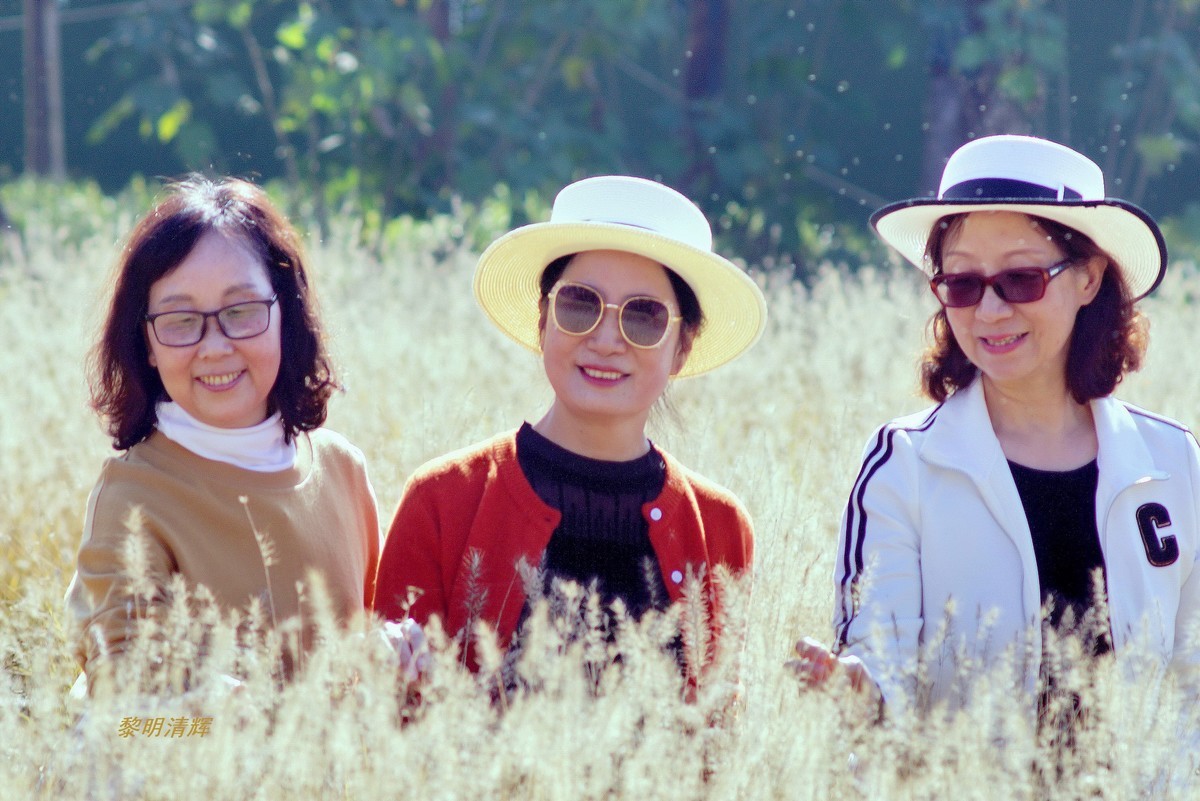 狗尾巴草地上—1