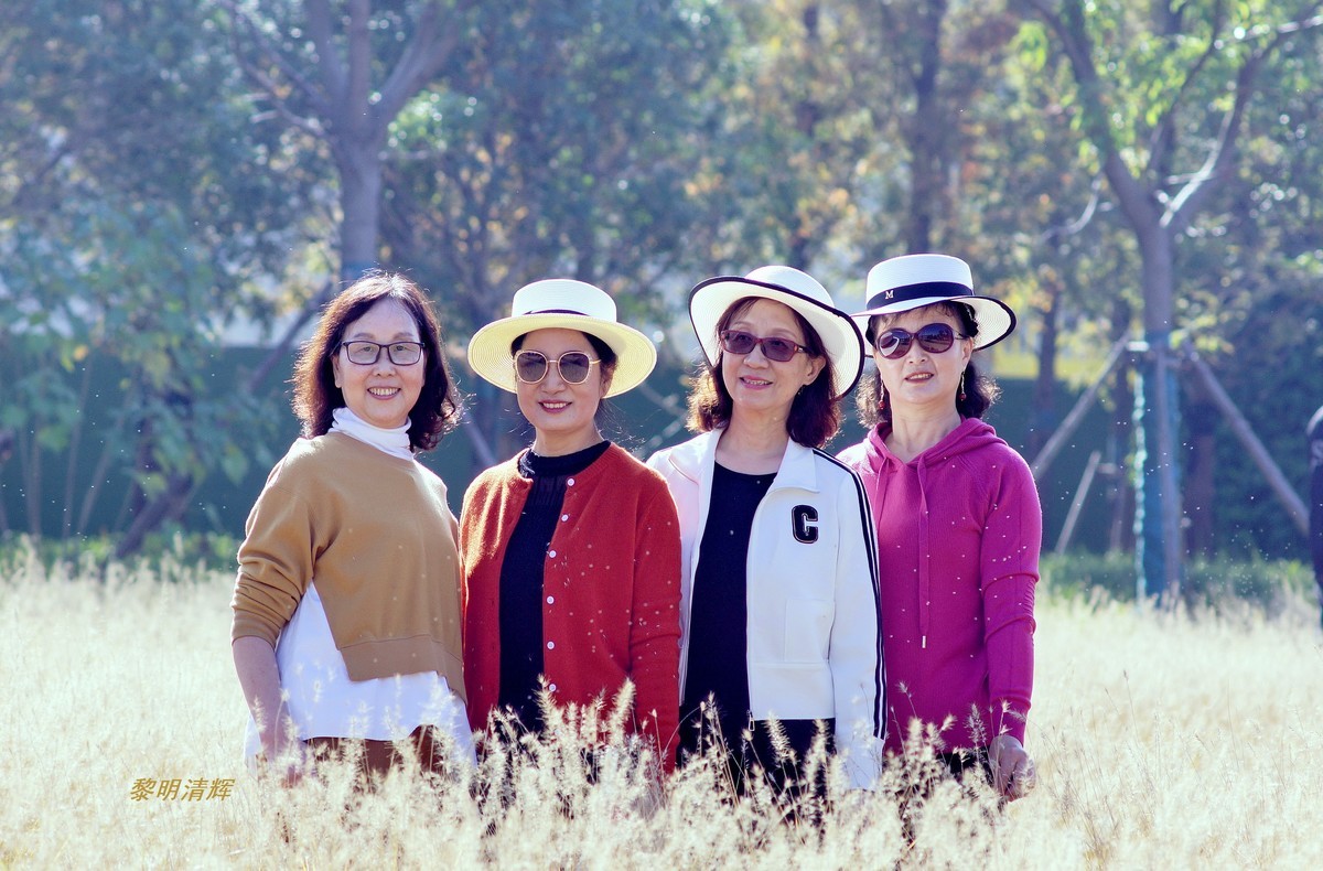 狗尾巴草地上—1