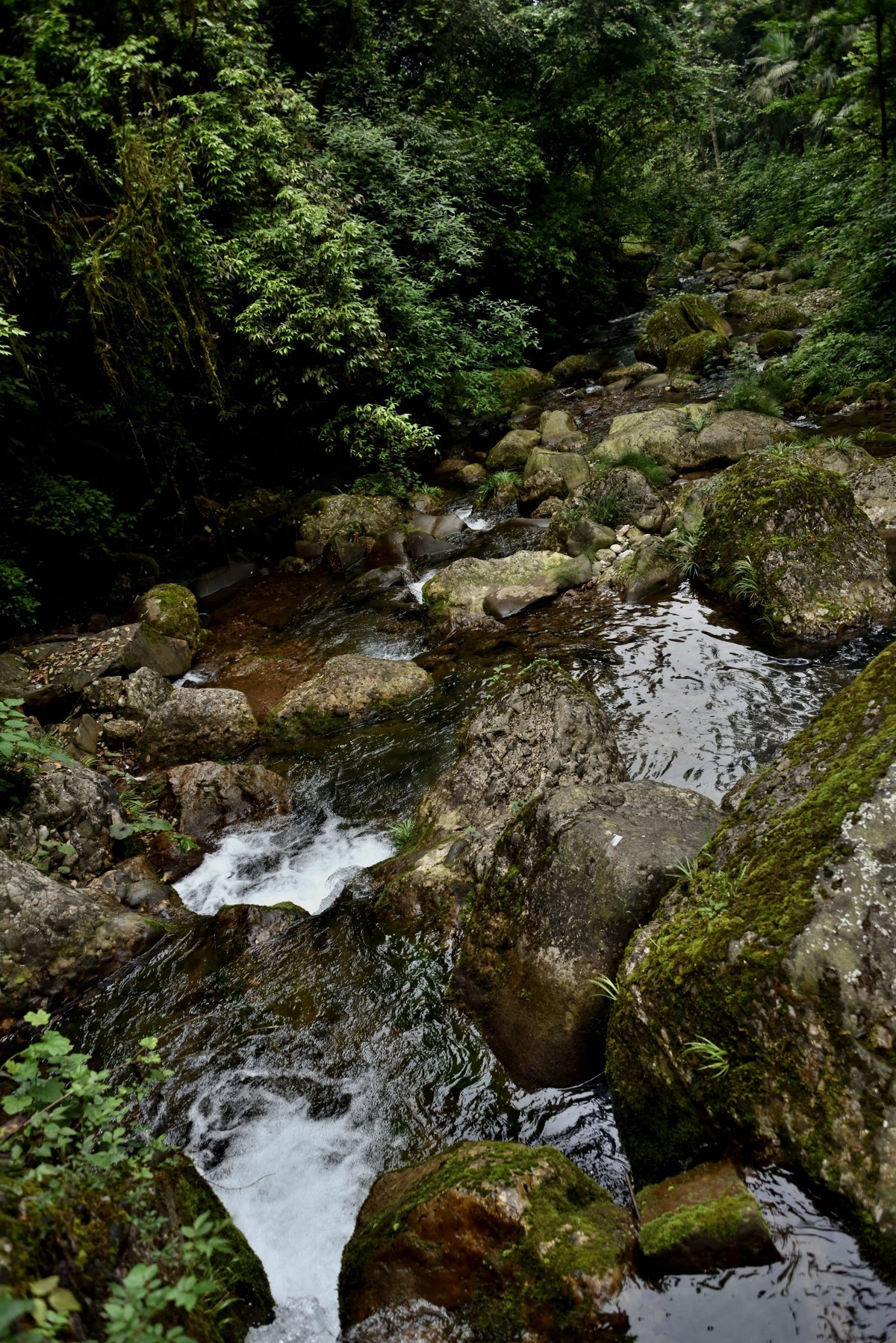 青城山泰安古镇【续完】