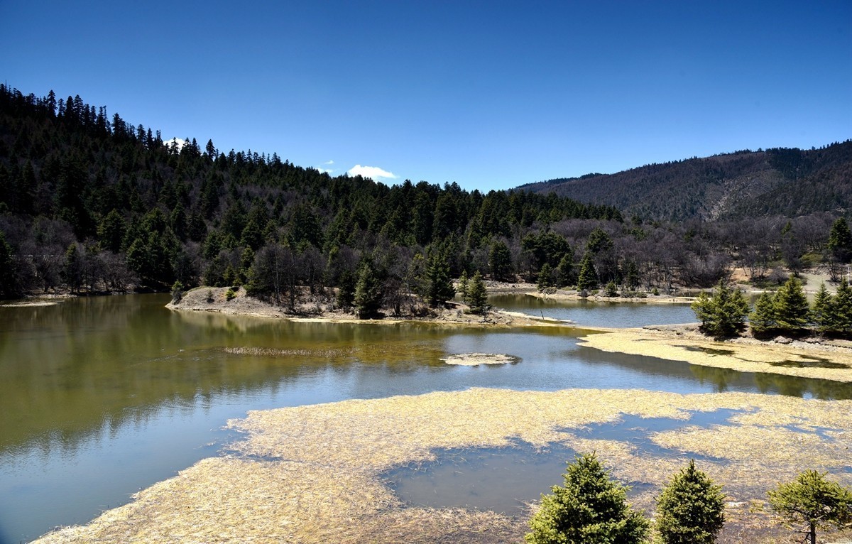 普达措国家公园【1】