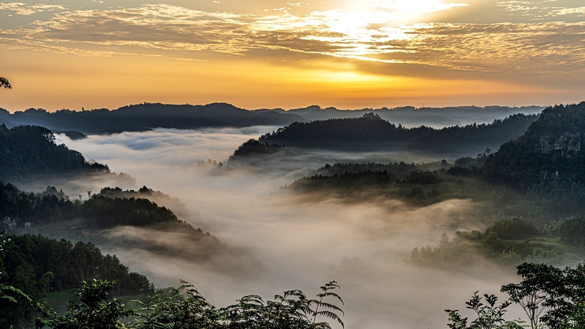 四川威远骑龙坳---晨雾【5】