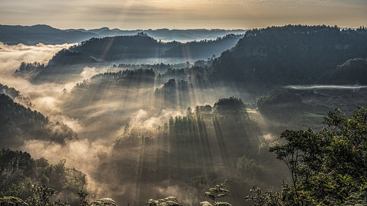 四川威远骑龙坳---晨雾【5】