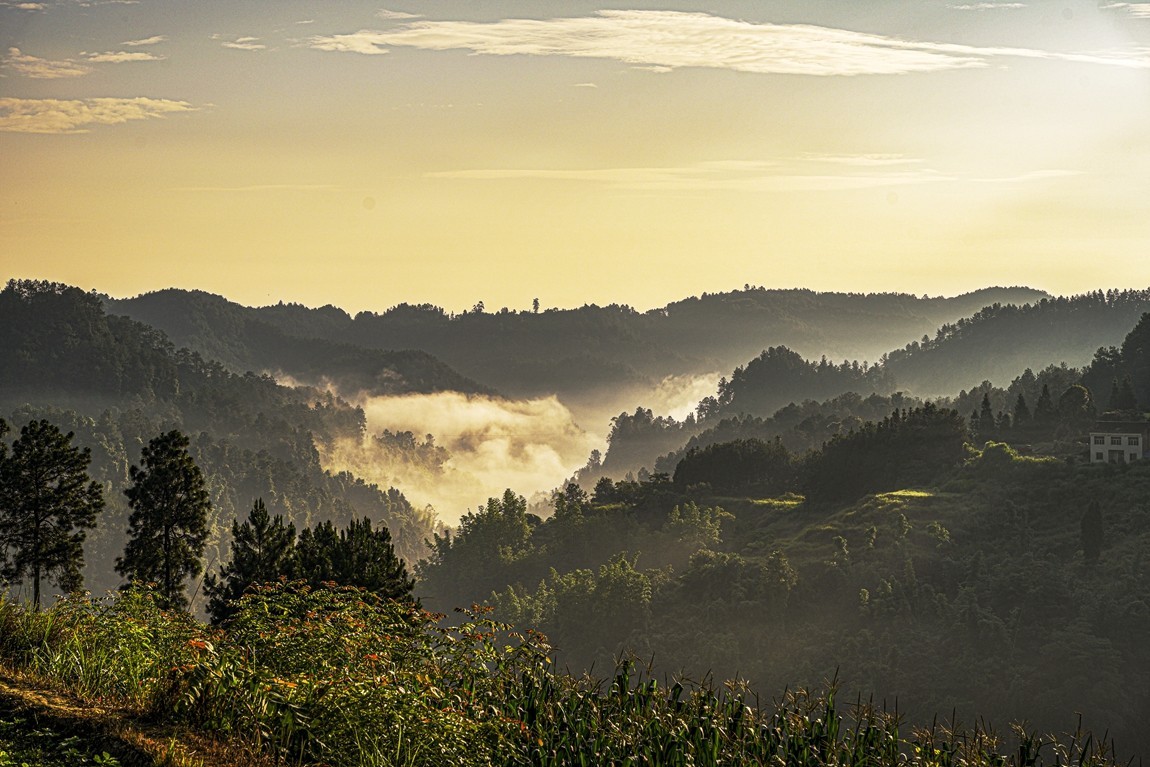 四川威远骑龙坳---晨雾【5】