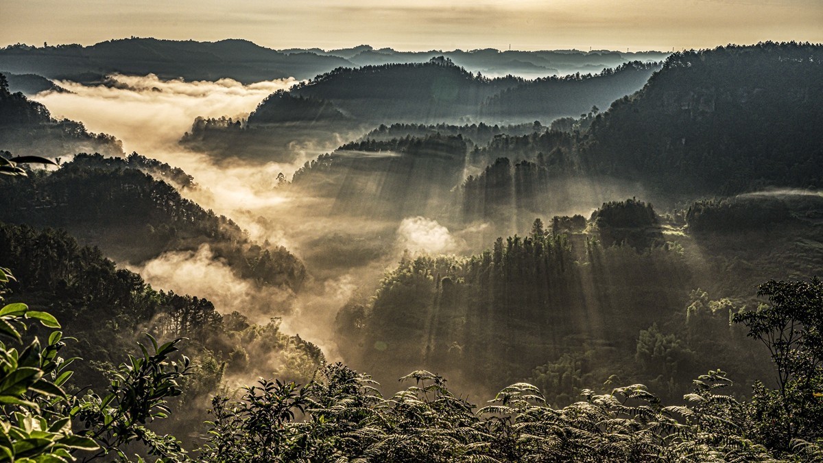 四川威远骑龙坳---晨雾【5】