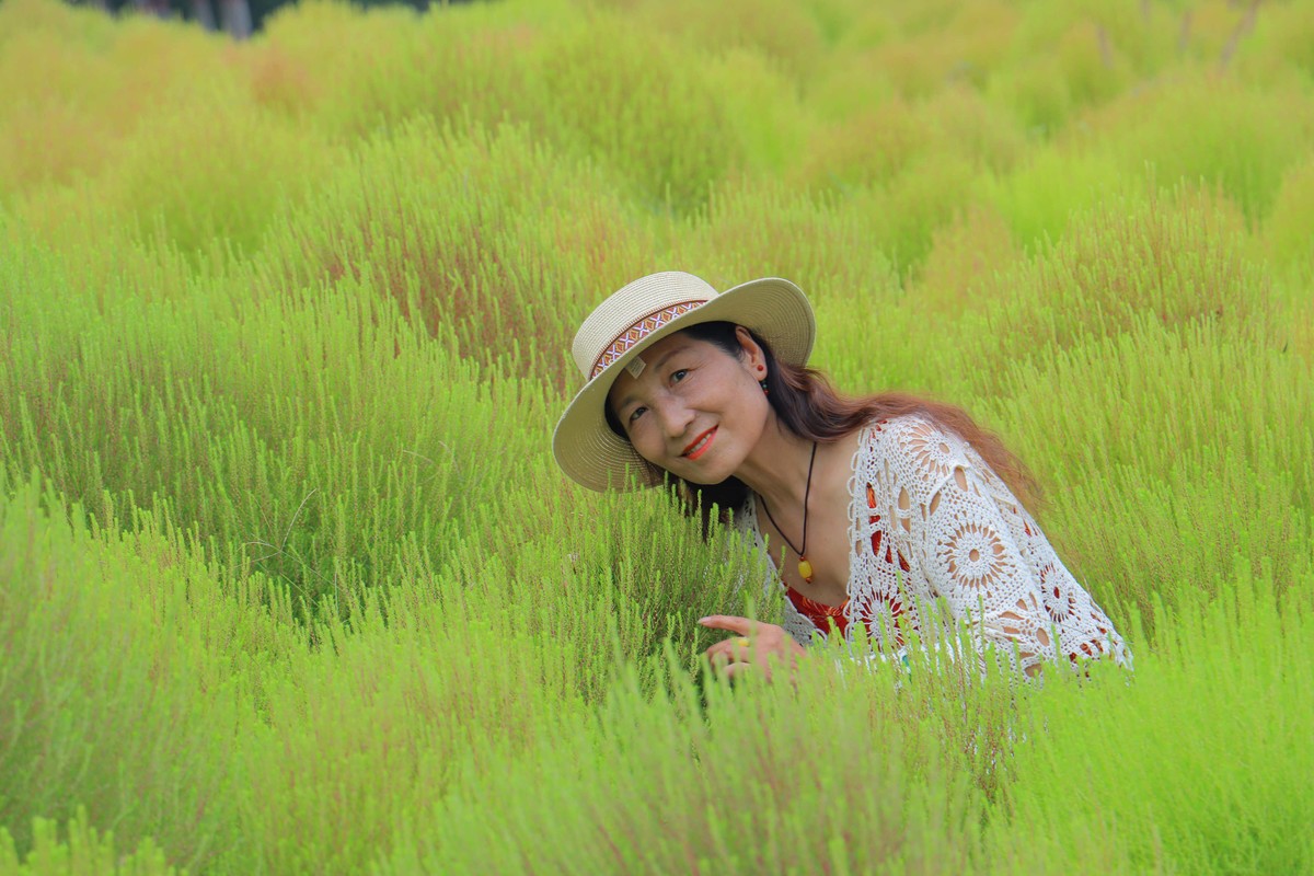 24 - 265 粉黛红了